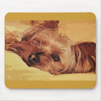 Hundebenommenheit Mousepad