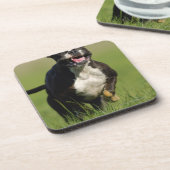 Hundebetrieb Getränkeuntersetzer (Linke Seite)