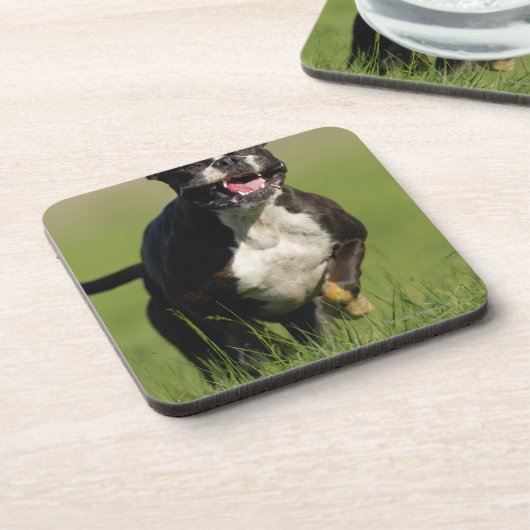 Hundebetrieb Getränkeuntersetzer (Linke Seite)