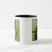 Hundebetrieb Tasse (Zentrum)