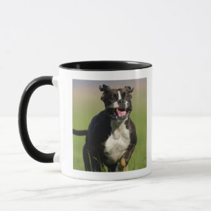 Hundebetrieb Tasse