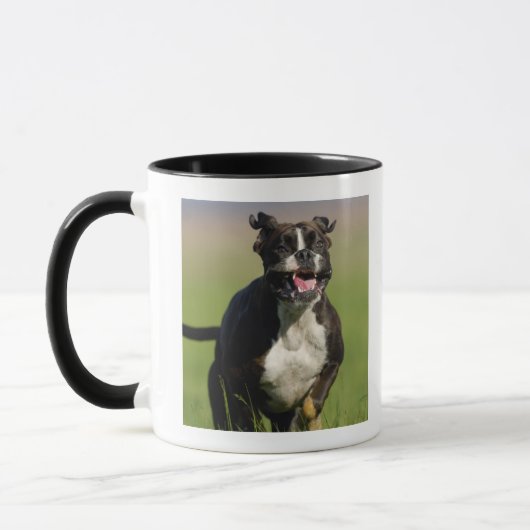 Hundebetrieb Tasse (Links)