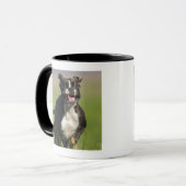 Hundebetrieb Tasse (Vorderseite Links)