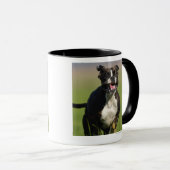 Hundebetrieb Tasse (VorderseiteRechts)