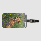 Hundebild Gepäckanhänger (Vorderseite (Horizontal))