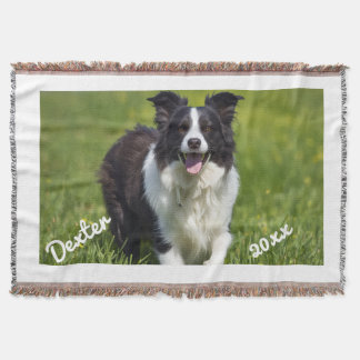 Hundebild Rahmen Border Collie Weiß Text Personali Decke