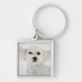 Hundeblinzeln Schlüsselanhänger (Vorne)