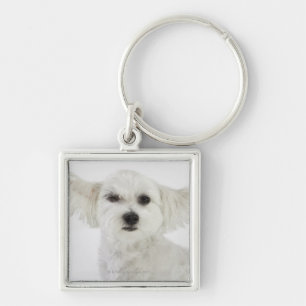 Hundeblinzeln Schlüsselanhänger