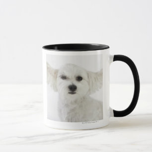 Hundeblinzeln Tasse
