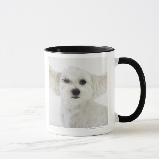 Hundeblinzeln Tasse (Rechts)