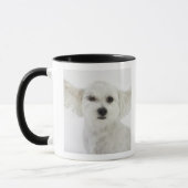 Hundeblinzeln Tasse (Links)