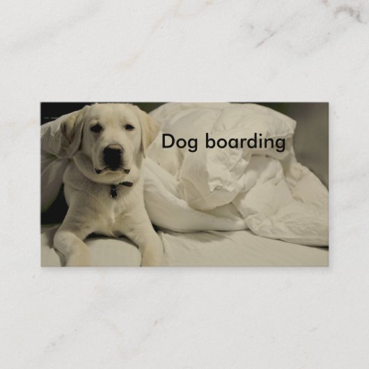 HundeBoarding/-hundehütte Visitenkarte (Vorderseite)