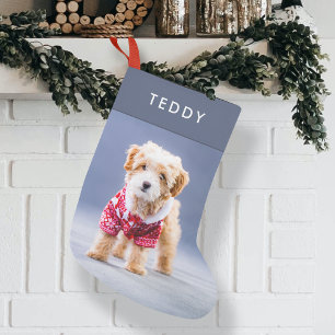 Hundebontage Modernes Niedliches Blue Pet Foto K Kleiner Weihnachtsstrumpf