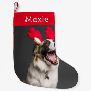 Hundebontage Modernes Niedliches Red Pet Foto Kleiner Weihnachtsstrumpf
