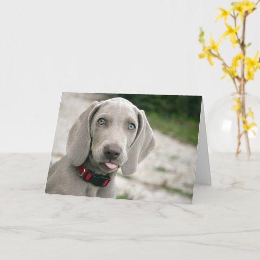 Hundebügel Karte (Gelbe Blume)