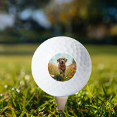 Hundebüt Golfball