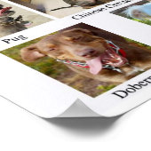 Hundebüt Poster (Ecke)