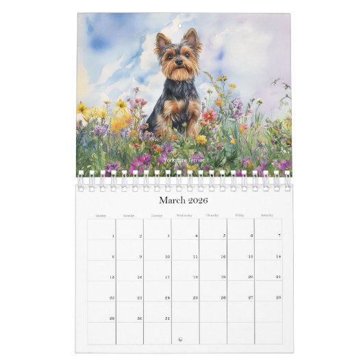 Hundebüten - kleiner Kalender (Mär 2026)