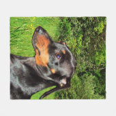 HundeDackel-Dackel Fleecedecke (Vorderseite (Horizontal))