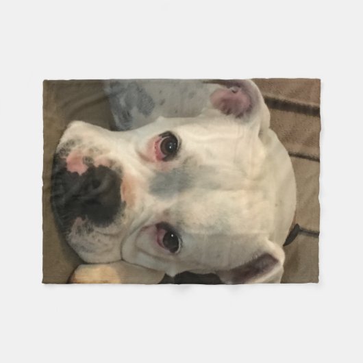 Hundedecke Fleecedecke (Vorderseite (Horizontal))