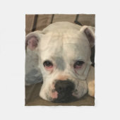 Hundedecke Fleecedecke (Vorderseite)