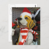 Hundedekoration Postkarte (Vorne/Hinten)