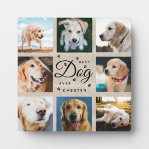 Hundedenken-Geschenk Bester Hund Aller Zeiten Rust Fotoplatte