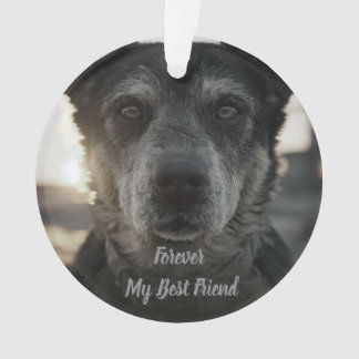 Hundedenkmal-Foto-Keramikschmuck Ornament