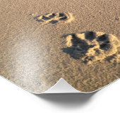 Hundedruck im Sand Fotodruck (Ecke)