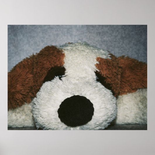 Hundedruck Poster (Vorne)