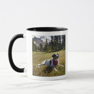 HundeErholungen, nachdem zu Jefferson-Park herein Tasse