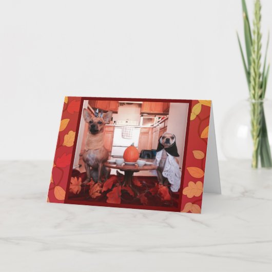 HundeErntedank Feiertagskarte (Vorderseite)