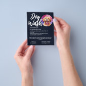 Hundefehlerei Flyer (Gruppe)