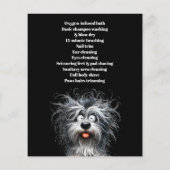 Hundefeld personalisierter Flyer (Hinten)