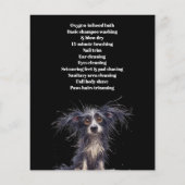 Hundefeld personalisierter Flyer (Hinten)