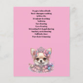 Hundefeld personalisierter Flyer (Hinten)