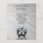 Hundefeld personalisierter Flyer (Hinten)