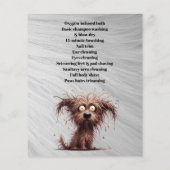 Hundefeld personalisierter Flyer (Hinten)