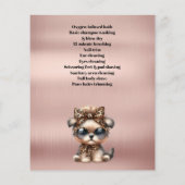 Hundefeld personalisierter Flyer (Hinten)