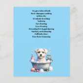 Hundefeld personalisierter Flyer (Hinten)