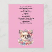 Hundefeld personalisierter Flyer (Hinten)