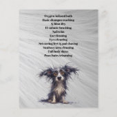 Hundefeld personalisierter Flyer (Hinten)