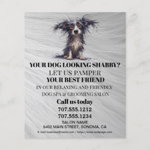 Hundefeld personalisierter Flyer