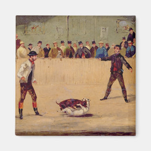 HundeFighting (Öl auf Papier) Magnet