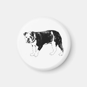 Hundefokus, Vektor-Präzision Magnet