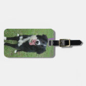 HundeFoto Gepäckanhänger (Vorderseite horizontal)