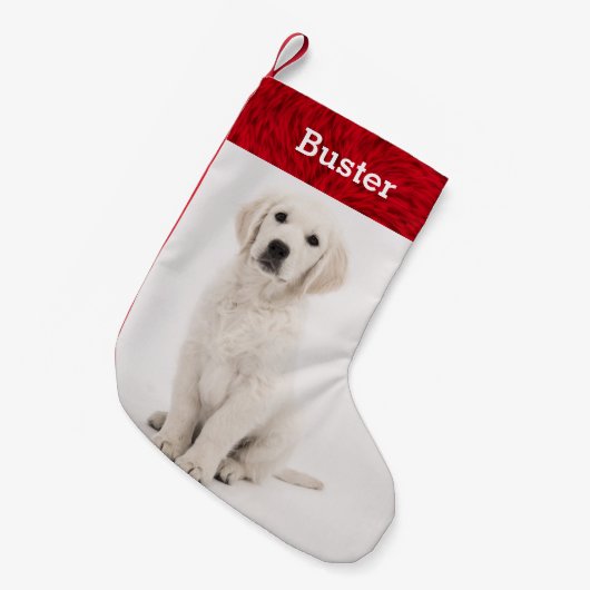 HundeFoto-Haustier-Namen-goldener Retriever-Welpe Kleiner Weihnachtsstrumpf (Vorderansicht (hängend))