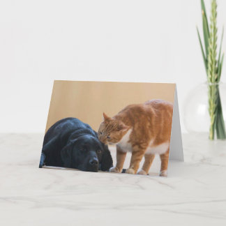 HundeFoto-Karte - Davy und Freund Karte