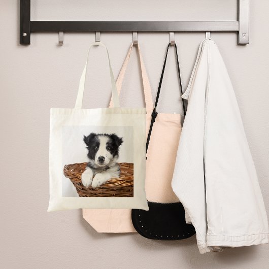 Hundefoto Tragetasche