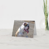 HUNDEfräulein YOU CARD Karte (Rückseite)